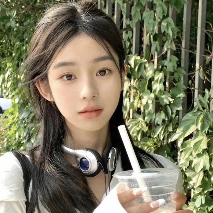 挎斗摩托车里的狗